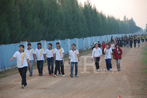DSC_0485 Copy.JPG